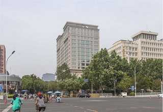 浙江单人沙发厂家直销